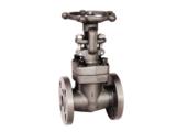 Forged Steel Flanged End Gate Valve
